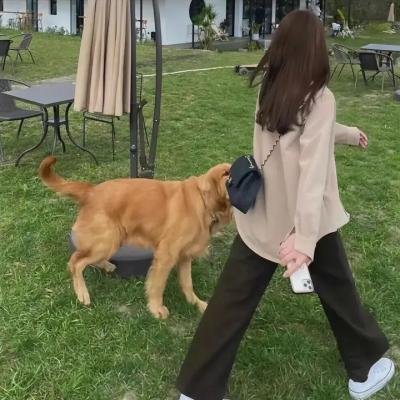 汤姆叔叔的小屋