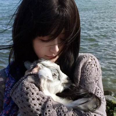 左轮百合