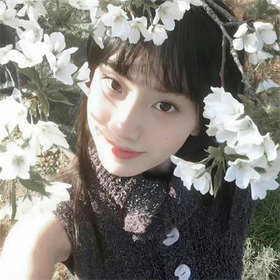 我们在南太平洋上的岛屿